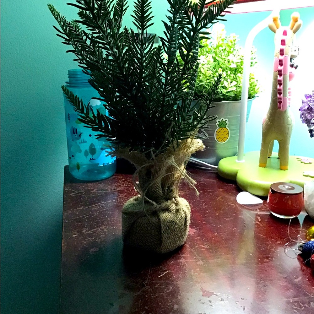 Small Fake Decorative Plant Comes With Ornaments